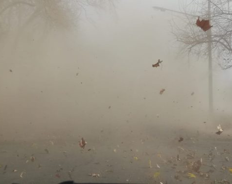 Hay alerta por fuertes vientos en la provincia