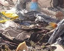 Asesinó a su pareja por violar a su hija: sus hijos carniceros la ayudaron a descuartizar el cuerpo