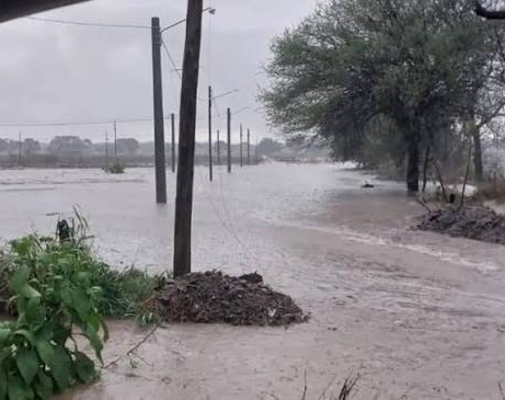 Temporal en Jáchal: 84 personas recibieron asistencia tras los daños provocados por las lluvias