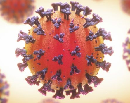 Alerta en Israel: le detectaron a una embarazada una doble infección de Covid-19 e influenza