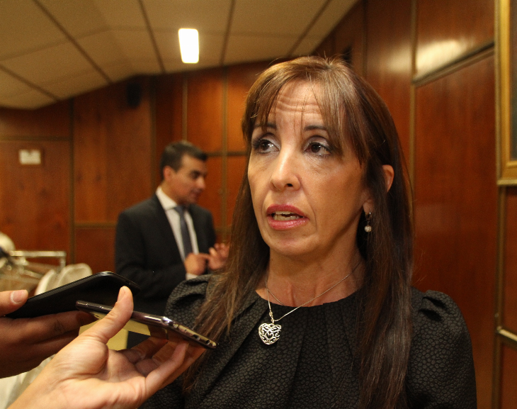 Susana Laciar es precandidata en JXC