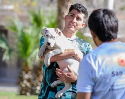 Esterilización canina y felina, gratis, en Rivadavia 
