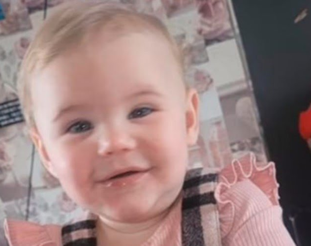 Conmoción en Inglaterra: una beba de 17 meses fue atacada por su mascota, un perro pitbull, y murió