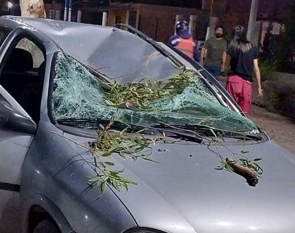 Una rama destruyó un auto y los ocupantes se salvaron de milagro