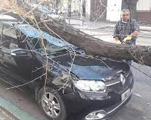 Lo que dejó el zonda en San Juan: arboles caídos, incendios y familias afectadas 