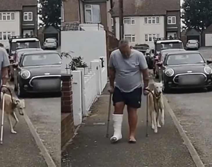Creía que su perro estaba enfermo pero lo imitaba para no dejarlo solo