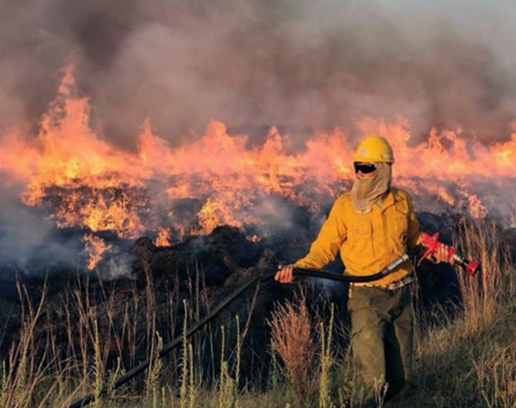 El fuego en corrientes afectó el 12% de la superficie total de la provincia