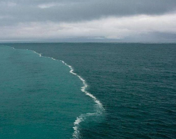Las aguas del océano Atlántico Norte batieron un récord diario de temperatura