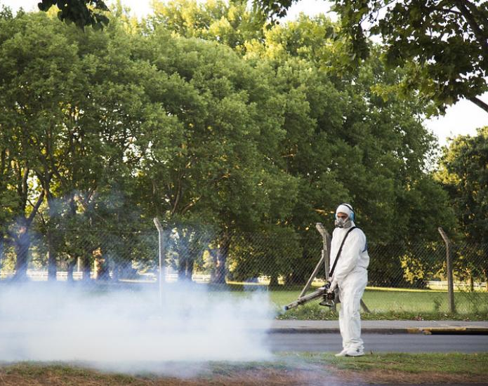 Nación confirmó más de 28 mil casos de dengue y 900 de chikungunya en todo el país