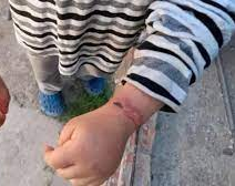 La casa del horror: torturaban a sus hijos y les hacían comer caca