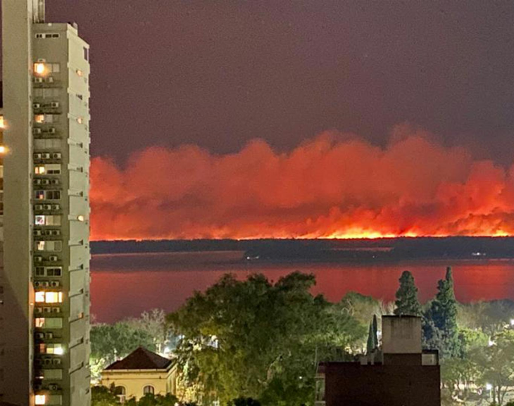 Preocupación por los incendios en Paraná y lo que dejará