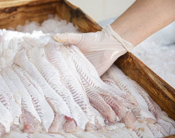 Conocé las características y requisitos para venta y consumo de pescado