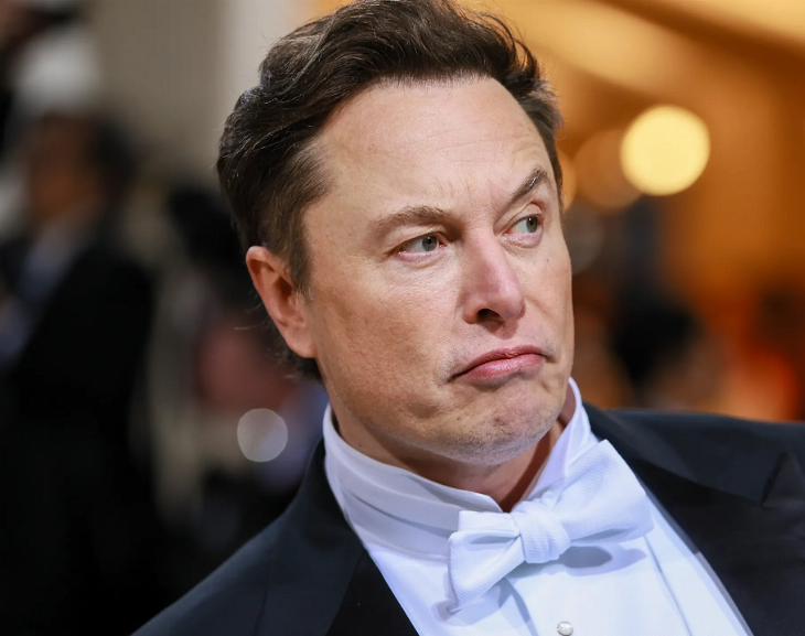 Elon Musk echó al CEO de Twitter 