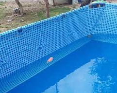 Una bebé de 6 meses murió ahogada en una pileta 