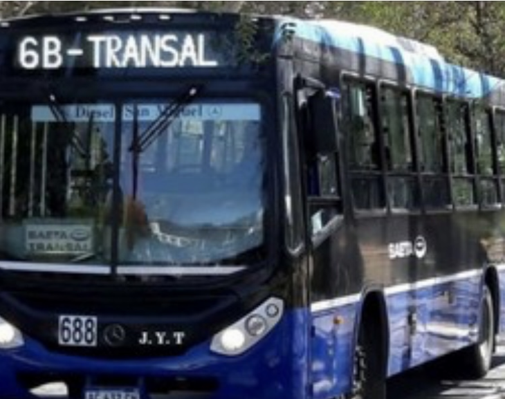 Salta: un colectivero chocó un perro y los vecinos lo apuñalaron