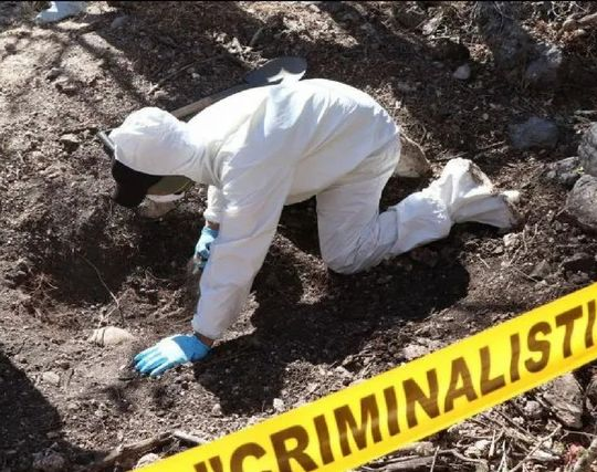 Hallan 26 cuerpos en fosas clandestinas en México