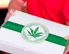 ¿Mandaban cannabis a domicilio? Detuvieron a un penitenciario sospechoso del delito