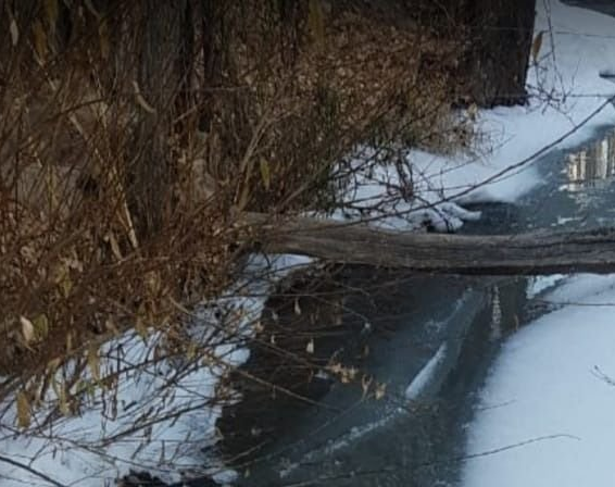 El intenso frío congeló hasta el agua del Río Los Patos 