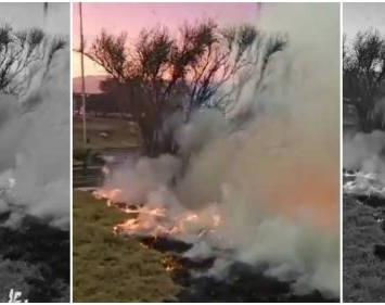 Feroz incendio en Ruta 40