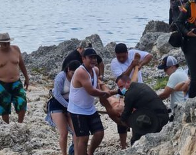 Un turista italiano murió atacado por un tiburón 