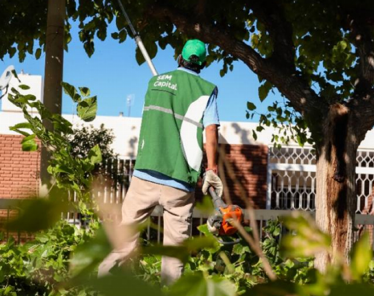 La temporada de poda se retrasa 15 días por el calor