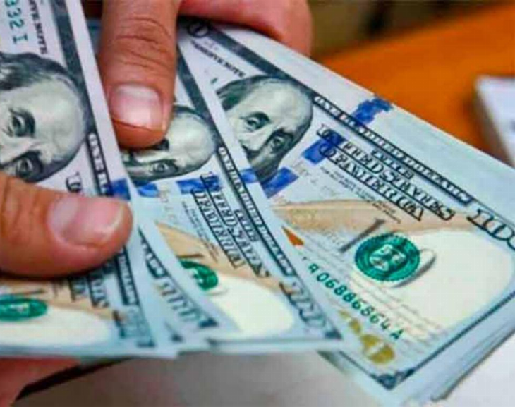 Nuevo récord: el dólar libre vuelve a subir y alcanzó los $235