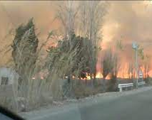 El zonda generó incendios en cuatro departamentos sanjuaninos 