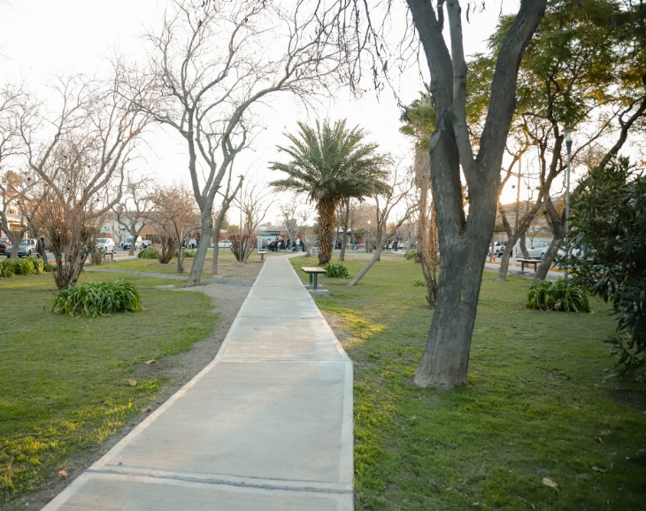 Capital continúa recuperando espacios verdes en Concepción