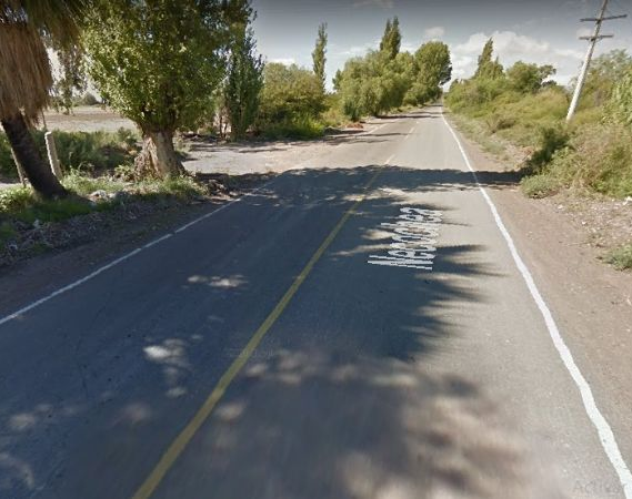 Una pareja circulaba en su auto pero perdieron el control y chocaron contra un árbol