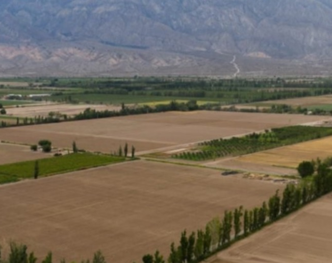 Pocito usará un drone para fumigar y desinfectar sus plantaciones