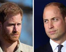 "Mi familia es feliz mintiendo para proteger a mi hermano": la explosiva declaración del príncipe Harry contra William