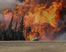 Más de 2,7 millones de héctareas arrasadas por incendios en Canadá en 2023