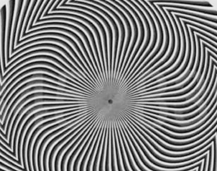Vuelve loco a los internautas un acertijo visual que circula en redes sociales
