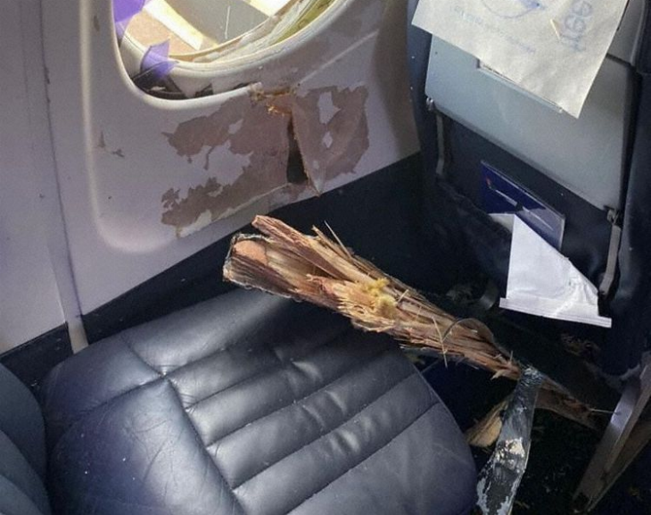Un avión chocó contra un ave gigante y una hélice entró en la cabina de pasajeros