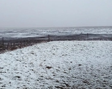 Sarmiento cubierto de nieve enamoró a los sanjuaninos 