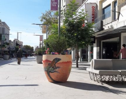 Cómo funcionarán los servicios durante el feriado de hoy