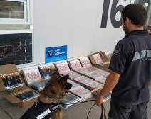 En insólito operativo, la Aduana secuestró quinientos vinilos de Vilma Palma