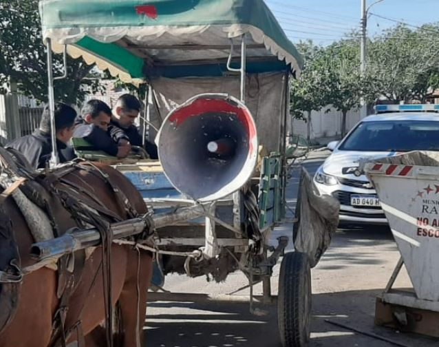 En Rawson, un caballo y su carretela se llevaron por delante a una mujer y su bebé