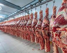 Ahora sacan mas carne del país, las ventas se recuperaron en un 25%