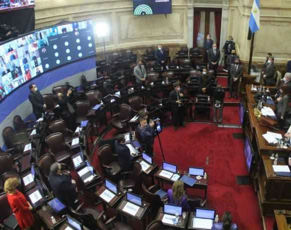 El Senado convirtió en ley la reducción de las tarifas de gas en zonas de bajas temperaturas