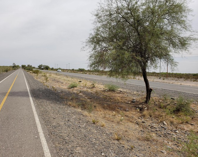 Una mujer quedó grave luego de volcar con su pareja en la ruta