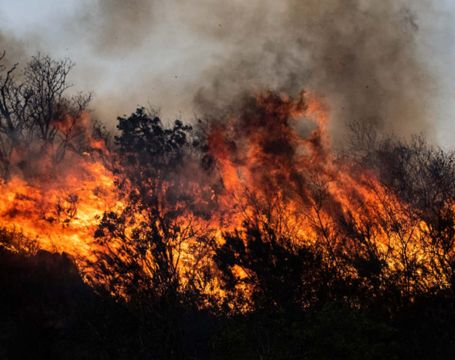 Voraz incendio en Caucete: evacuaron familias y animales