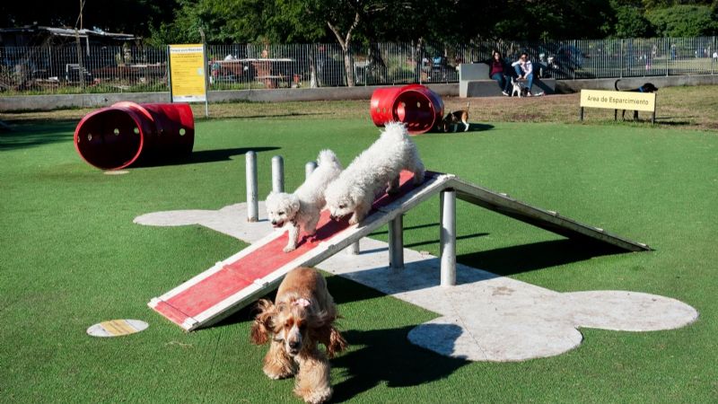 Construirán dos nuevas plazas donde los perritos serán protagonistas 