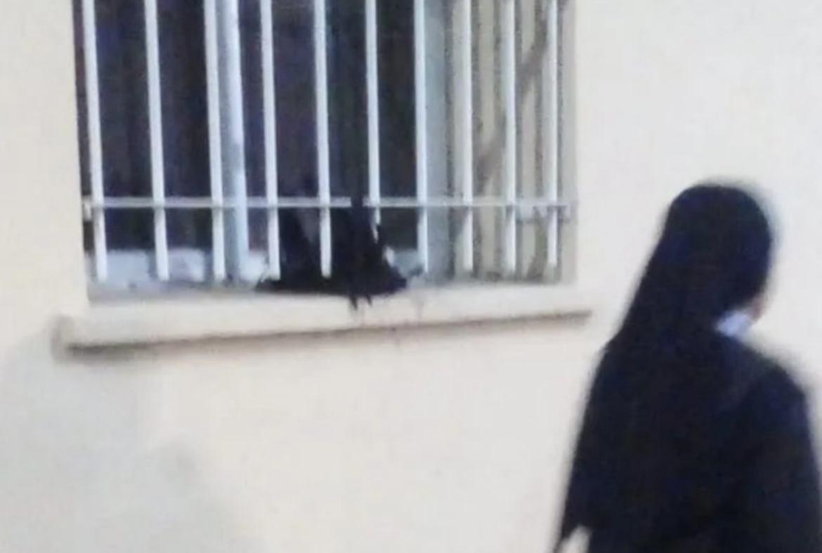 Encontraron una gallina muerta cerca del búnker de un candidato y denuncian magia negra 