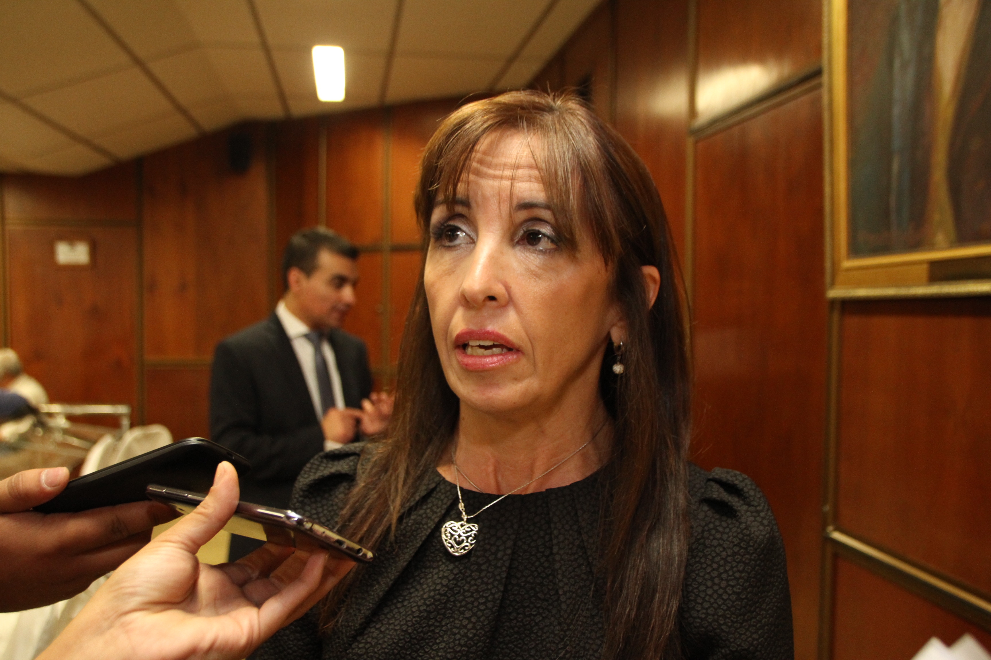Susana Laciar es precandidata en JXC