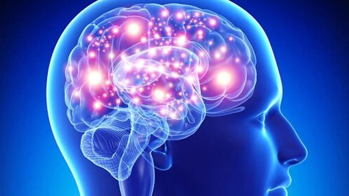 Día Mundial del Cerebro: seis consejos para mantenerlo saludable