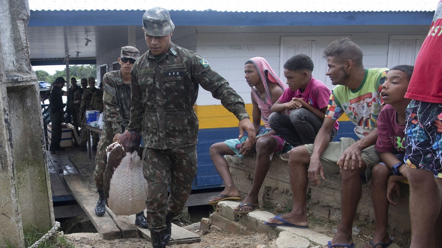 Encontraron restos humanos donde desaparecieron un periodista y un indigenista en Brasil