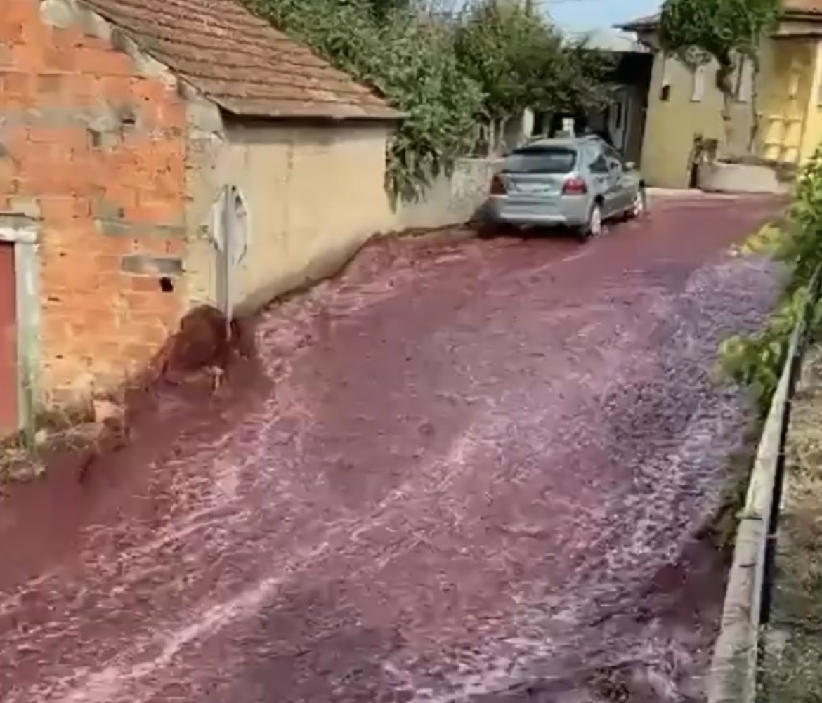 Impresionante río de vino en Portugal