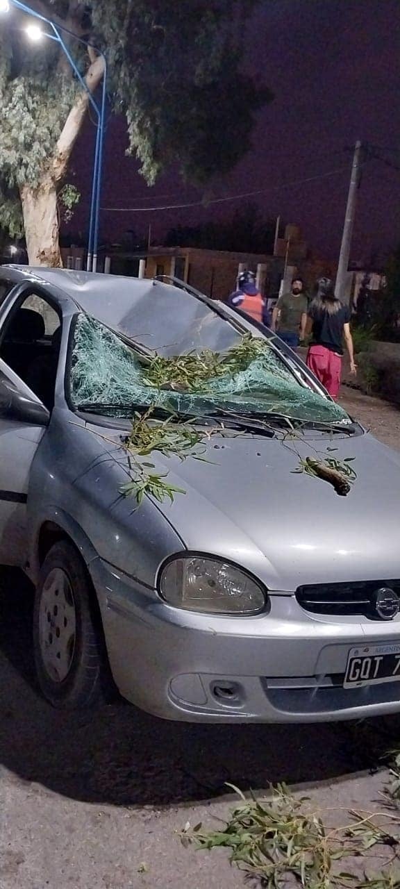 Una rama destruyó un auto y los ocupantes se salvaron de milagro