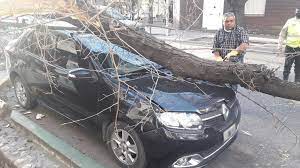 Lo que dejó el zonda en San Juan: arboles caídos, incendios y familias afectadas 